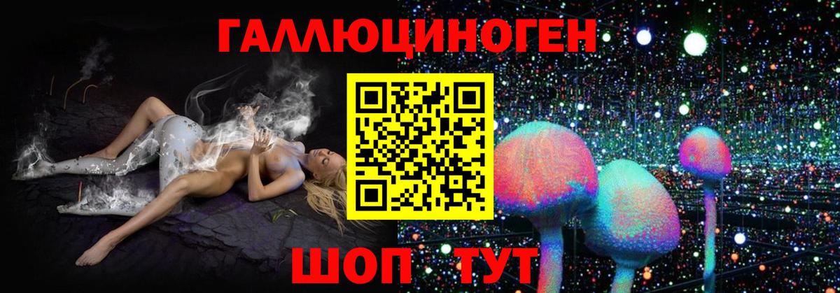 купить   Вход с VPN  Тамбов  Галлюциногенные грибы мицелий 