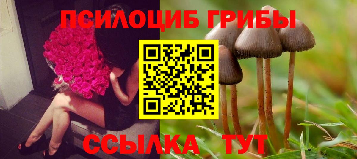 Галлюциногенные грибы мицелий Тамбов