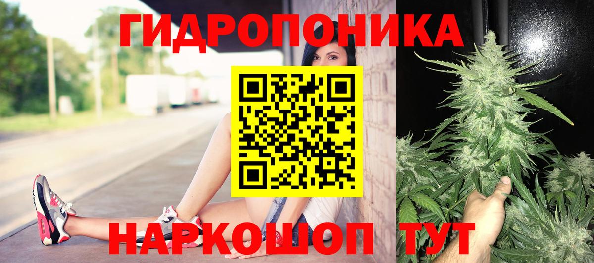 Бошки марихуана конопля Тамбов